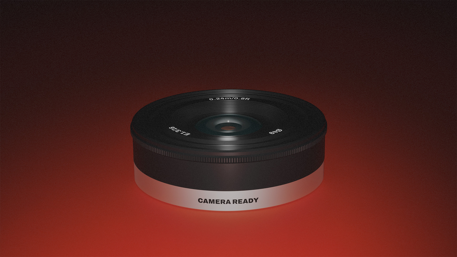 CAMERA READY PALMADE